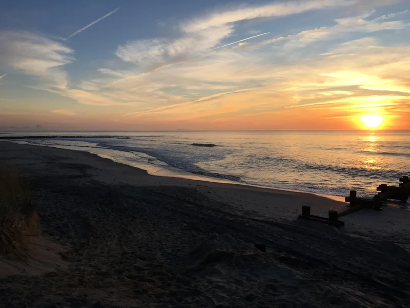 South Jersey landscape used by the regional publishing project